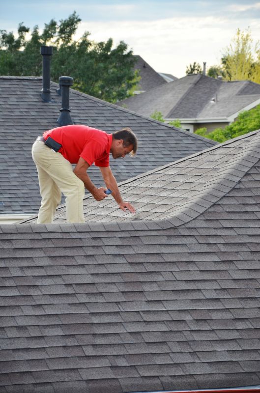 Expert Roof Assessment